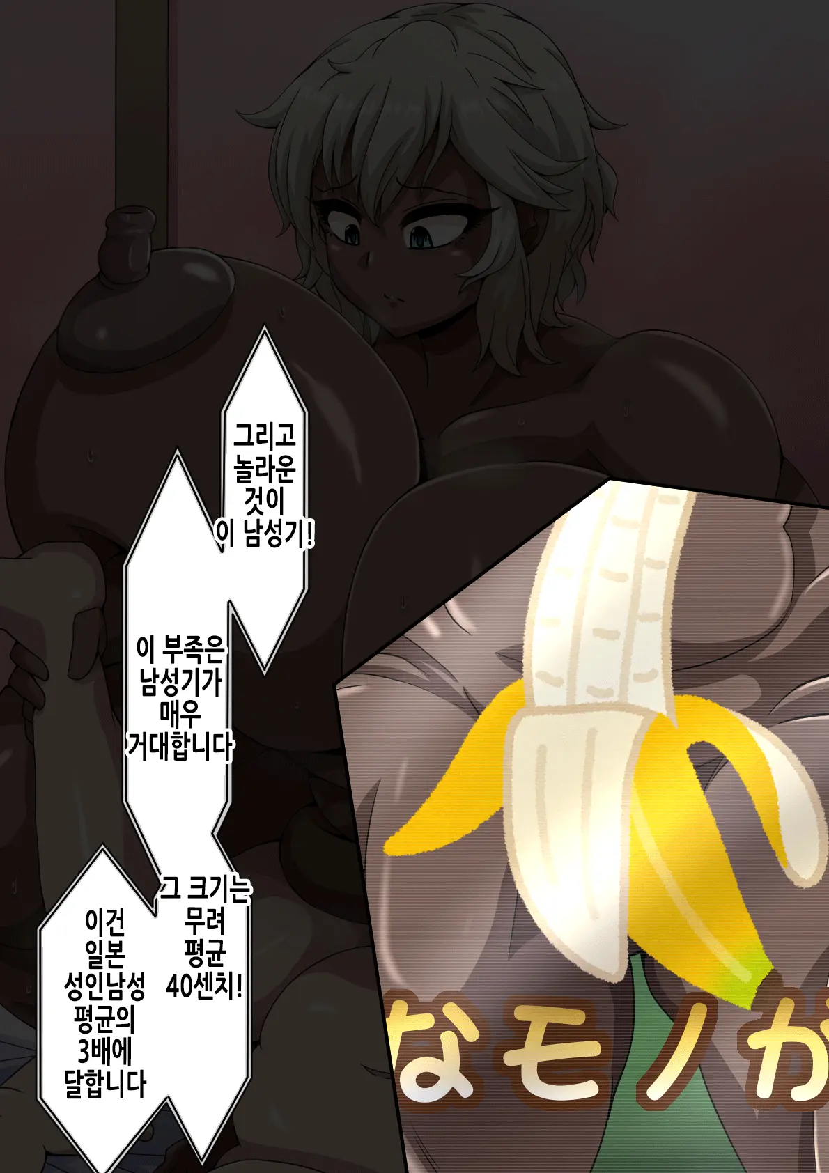 Fallen Cinderella ~Half Idol Buzokuka Choukyou 3~ | Fallen Cinderella ~혼혈 아이돌 부족화 조교 3~